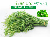 5斤瓜尖+5斤空心菜