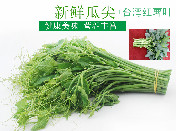 5斤瓜尖+5斤红薯叶