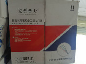 安普普大  超五类非屏蔽 300米/箱