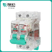 天正TGBT-63 2P 63A