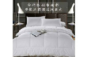 230*220cm冬被6000#舒柔仿羽布