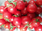 优培水果小蕃茄（混买6斤一箱售卖）