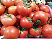 番茄（西红柿）