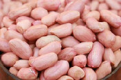 花生仁