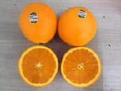 橙子