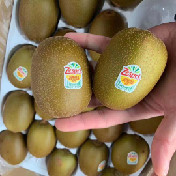 奇异果（猕猴桃）