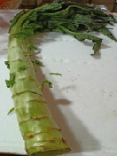 莴笋