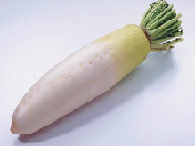 白萝卜