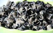 黑木耳（干）