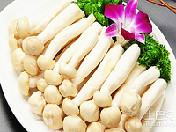 海鲜菇