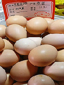 果园走地初生蛋