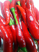 小红椒