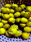 油栗肉（去壳去皮）