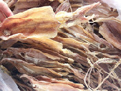 闸坡船晒鱿鱼