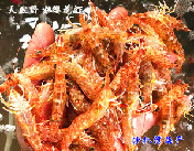 海捕野生樱花虾（48元/斤）