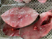 天然野生海捕马胶切片（53元/0.85斤/盒 除肠肚）