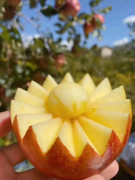 盐源糖心丑苹果