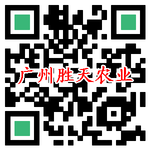 加微信