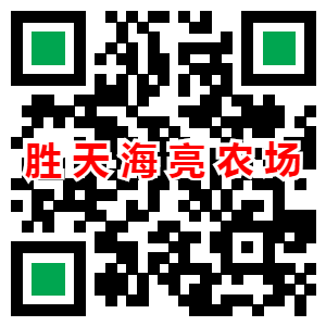 加微信
