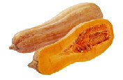 蜜本南瓜