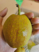 香梨