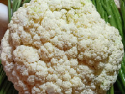 菜花
