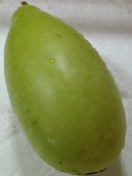 蒲瓜