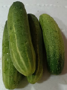 黄瓜