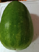 大节瓜