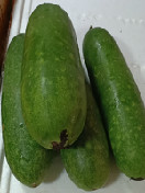 小节瓜