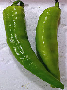 泡椒