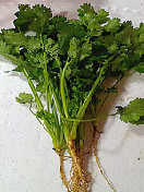 香菜(芫茜)