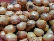 红莲子(去壳)