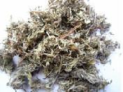 茵陈