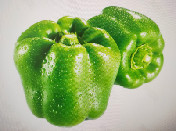 青椒