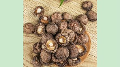 小东菇(冬菇)