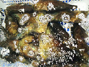 带子