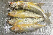 天然网仔野生小黄花鱼(85元/5条/斤)