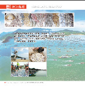 阳江海鲜