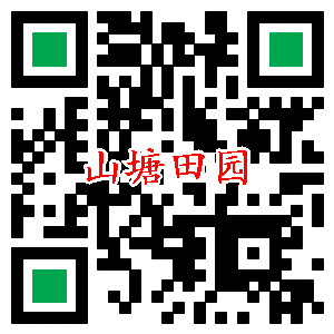 网址二维码