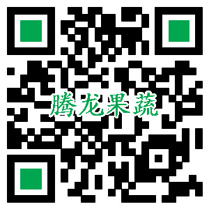 网址二维码