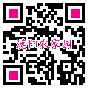 加微信